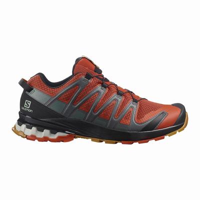 Salomon XA PRO 3D v8 - Miesten Vaelluskengät - Mustat